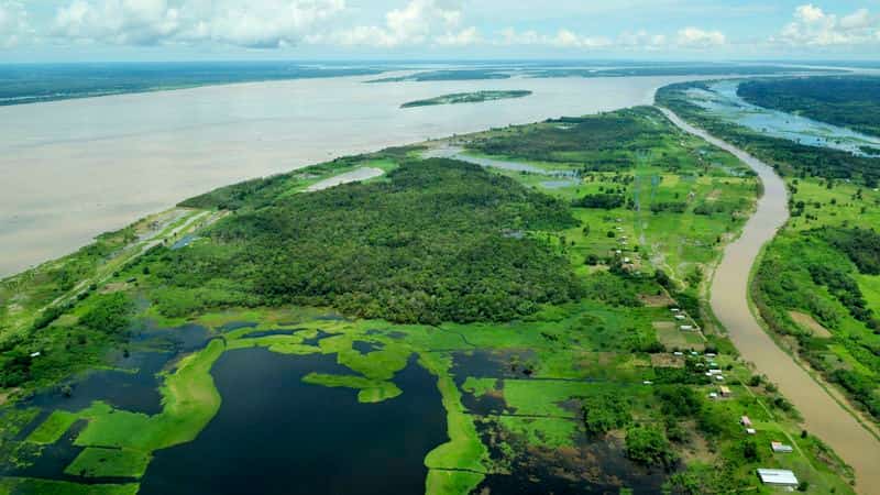 Amazonie skrývá ohrožené živočichy: Vědci přeskočili do nitra pralesa a našli něco nepochopitelného
