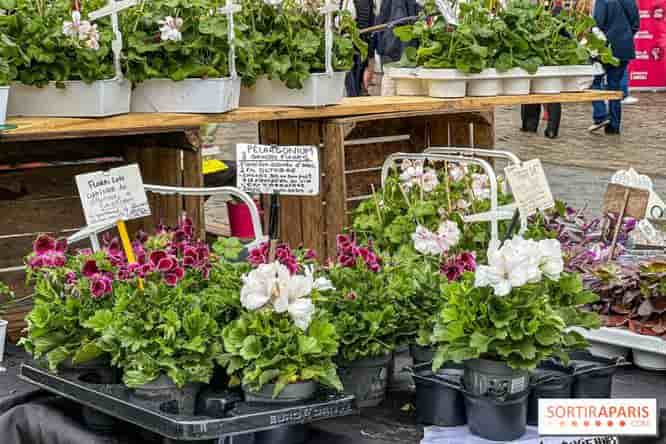 Skrytá Paříž: Nejzajímavější netradiční místa a akce pro jaro 2025